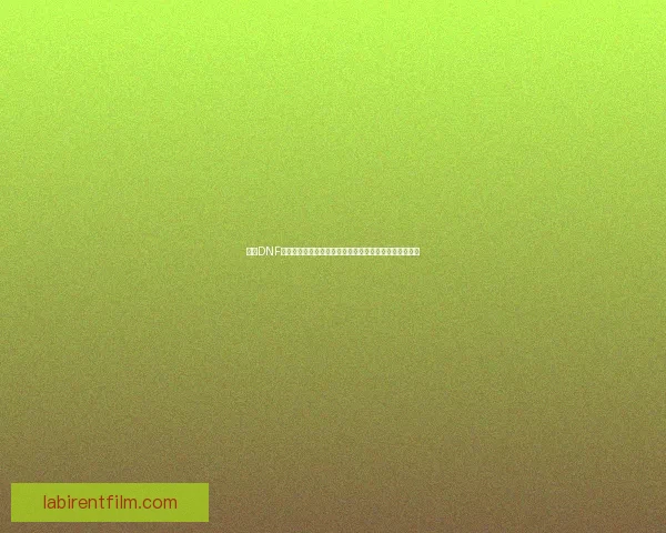 探索DNF紫卡系统的独特魅力与获取技巧，助你轻松提升角色实力