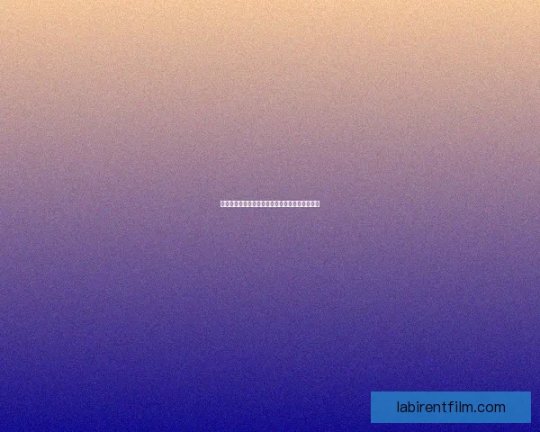 神秘逃亡之谜：追寻失落的真相与未知的命运挑战