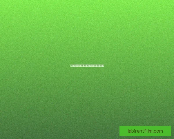 迷雾森林探秘：探索神秘领域与隐藏宝藏的冒险之旅